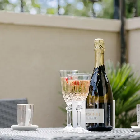 Peacock 스플리트