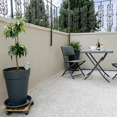 Peacock * 스플리트