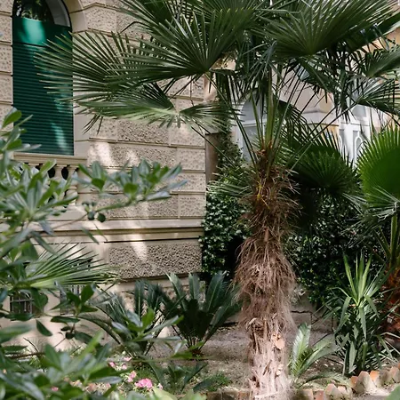 דירה Peacock